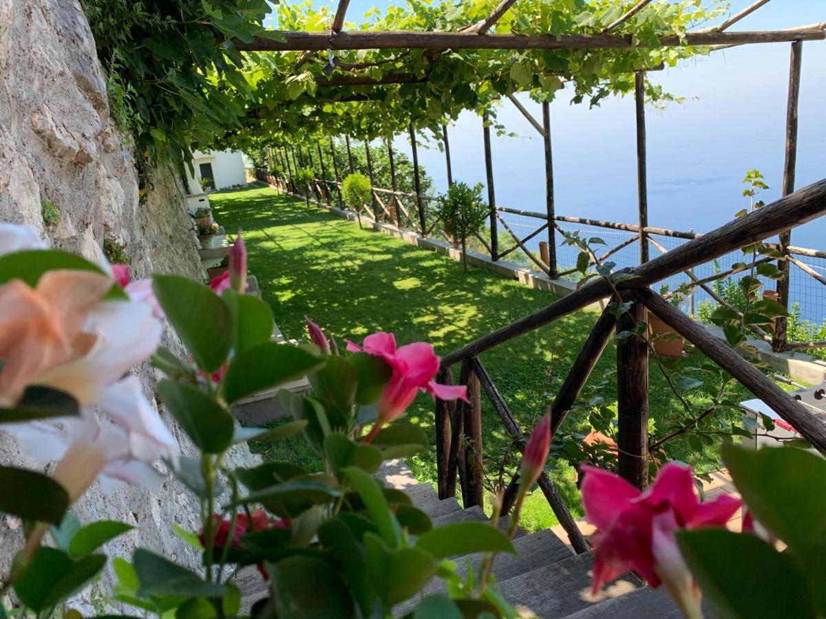 Country House Sant Alfonso Фуроре Екстериор снимка