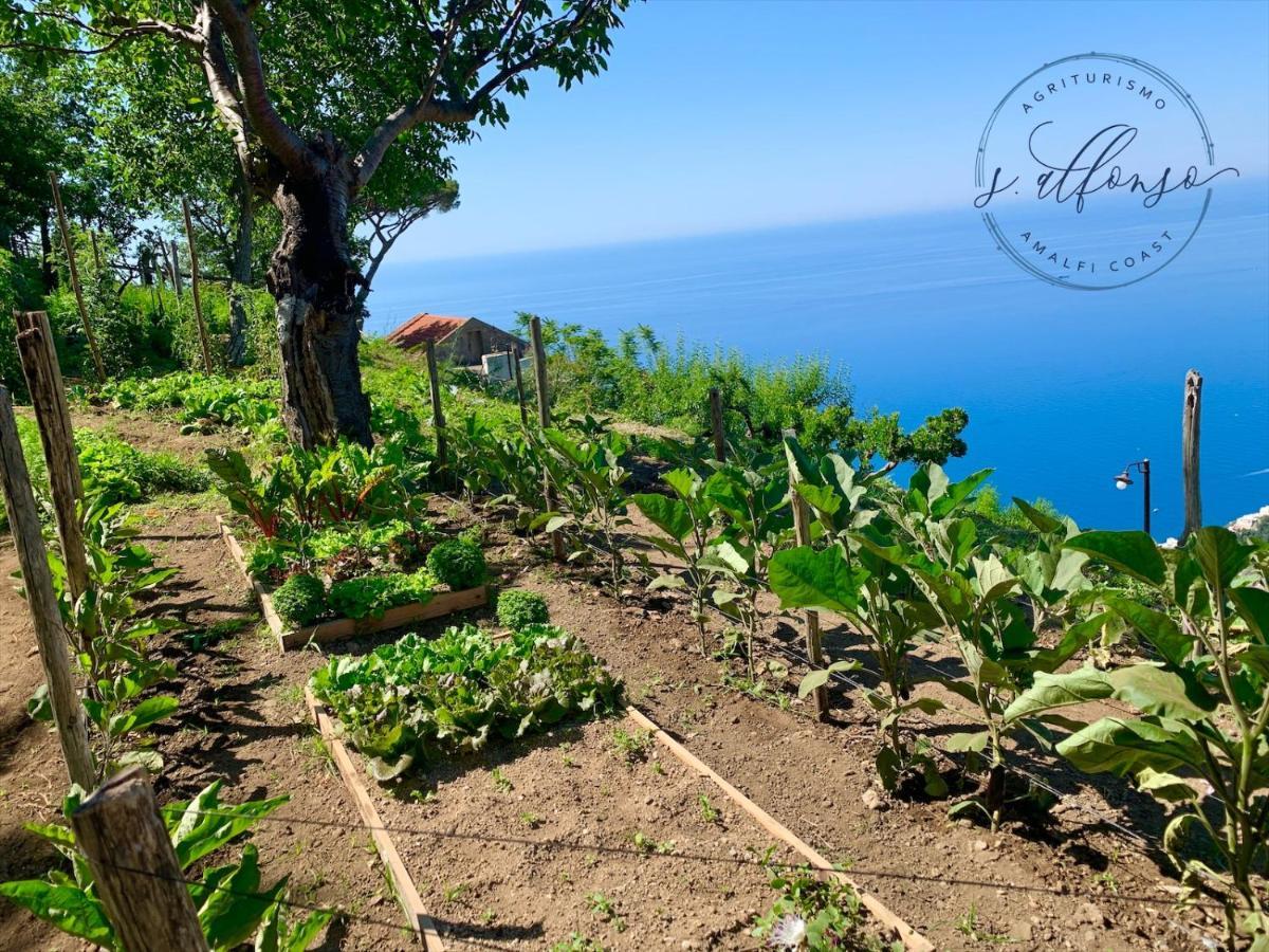 Country House Sant Alfonso Фуроре Екстериор снимка